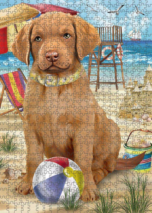 Pet Friendly Beach Chesapeake Bay Retriever Dog Puzzle with Photo Tin PUZL53784
