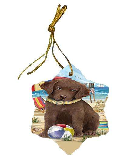 Pet Friendly Beach Chesapeake Bay Retriever Dog Star Porcelain Ornament SPOR50015