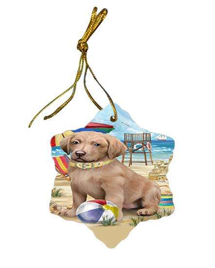 Pet Friendly Beach Chesapeake Bay Retriever Dog Star Porcelain Ornament SPOR50016