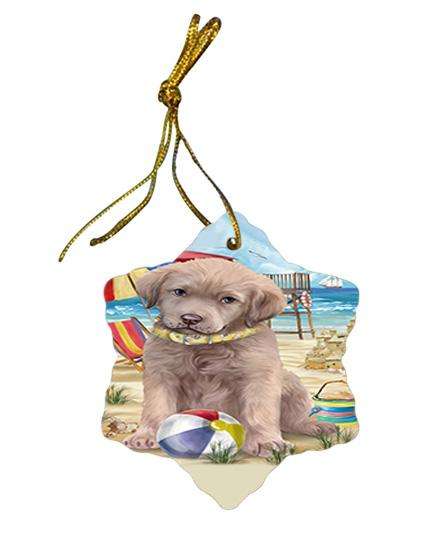 Pet Friendly Beach Chesapeake Bay Retriever Dog Star Porcelain Ornament SPOR50017