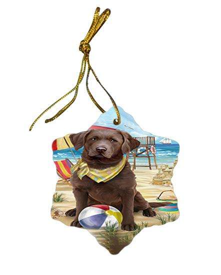 Pet Friendly Beach Chesapeake Bay Retriever Dog Star Porcelain Ornament SPOR50019
