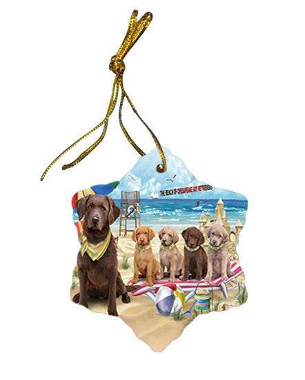 Pet Friendly Beach Chesapeake Bay Retrievers Dog Star Porcelain Ornament SPOR50014