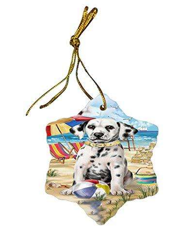 Pet Friendly Beach Dalmatian Dog Star Porcelain Ornament SPOR48635