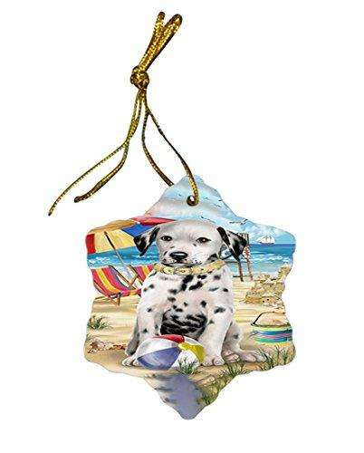 Pet Friendly Beach Dalmatian Dog Star Porcelain Ornament SPOR48636