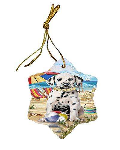 Pet Friendly Beach Dalmatian Dog Star Porcelain Ornament SPOR48637