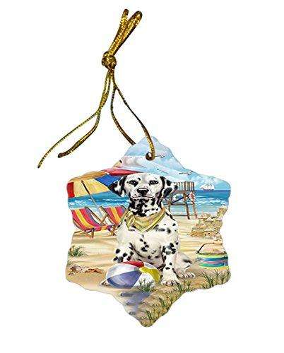 Pet Friendly Beach Dalmatian Dog Star Porcelain Ornament SPOR48638