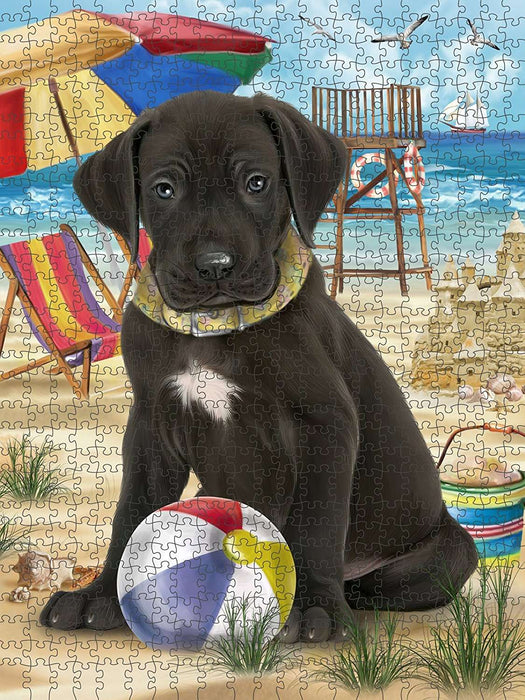Pet Friendly Beach Great Dane Dog Puzzle with Photo Tin PUZL49650