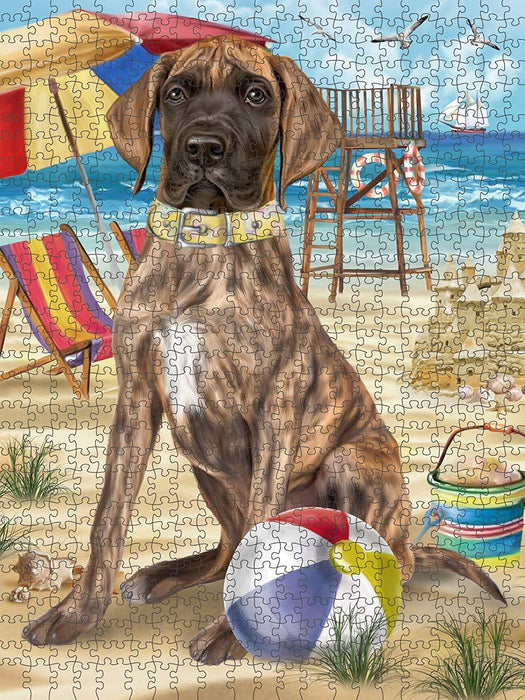 Pet Friendly Beach Great Dane Dog Puzzle with Photo Tin PUZL49659