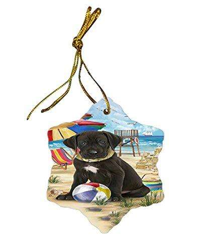 Pet Friendly Beach Great Dane Dog Star Porcelain Ornament SPOR48640