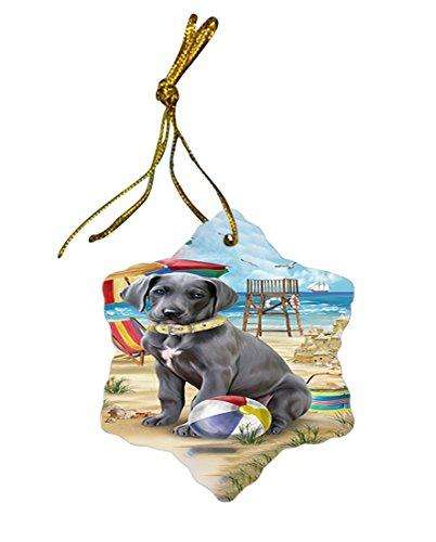 Pet Friendly Beach Great Dane Dog Star Porcelain Ornament SPOR48641