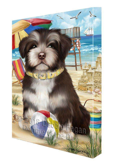 Pet Friendly Beach Havanese Dog Canvas Wall Art CVS52968