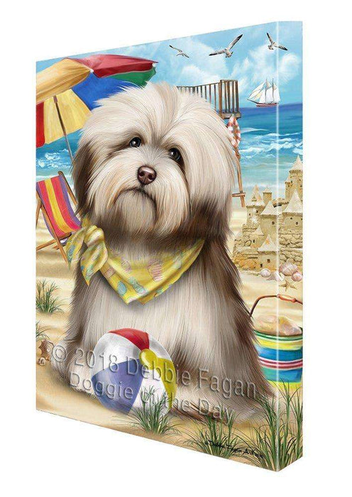Pet Friendly Beach Havanese Dog Canvas Wall Art CVS52995