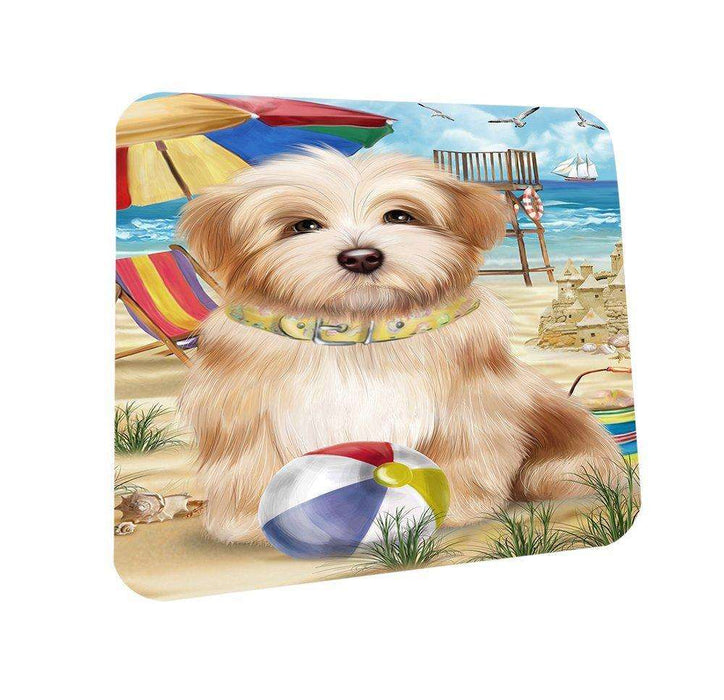 Pet Friendly Beach Havanese Dog Coasters Set of 4 CST48615