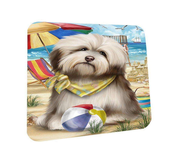 Pet Friendly Beach Havanese Dog Coasters Set of 4 CST48617