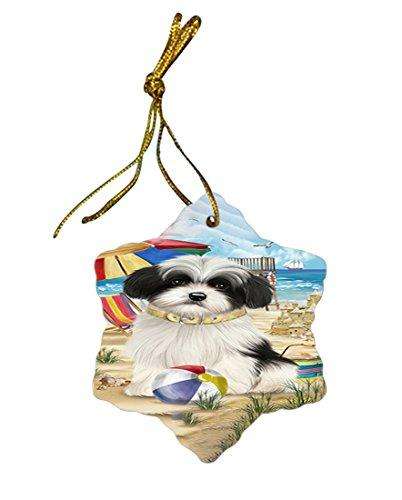 Pet Friendly Beach Havanese Dog Star Porcelain Ornament SPOR48646