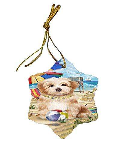 Pet Friendly Beach Havanese Dog Star Porcelain Ornament SPOR48648