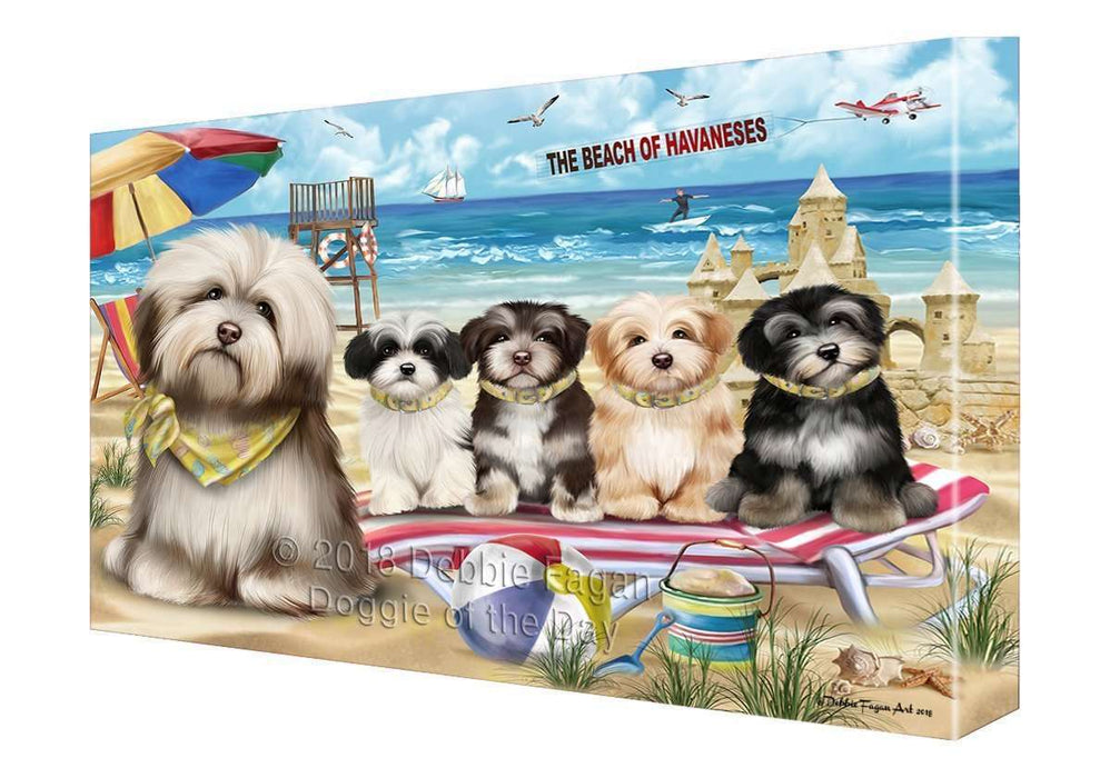 Pet Friendly Beach Havaneses Dog Canvas Wall Art CVS52950