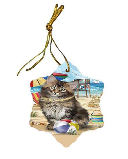 Pet Friendly Beach Maine Coon Cat Star Porcelain Ornament SPOR51578