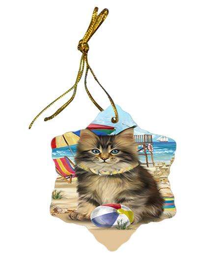 Pet Friendly Beach Maine Coon Cat Star Porcelain Ornament SPOR51579