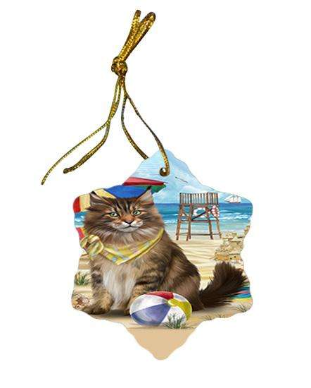 Pet Friendly Beach Maine Coon Cat Star Porcelain Ornament SPOR51581