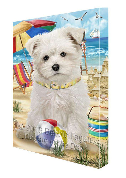 Pet Friendly Beach Maltese Dog Canvas Wall Art CVS66229
