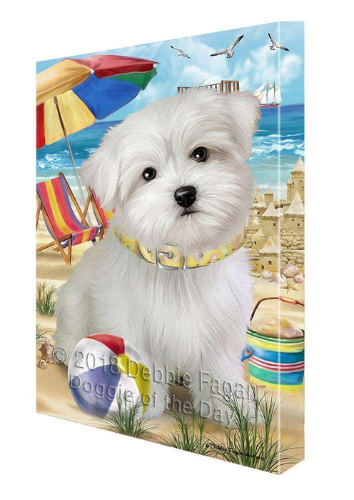 Pet Friendly Beach Maltese Dog Canvas Wall Art CVS66247