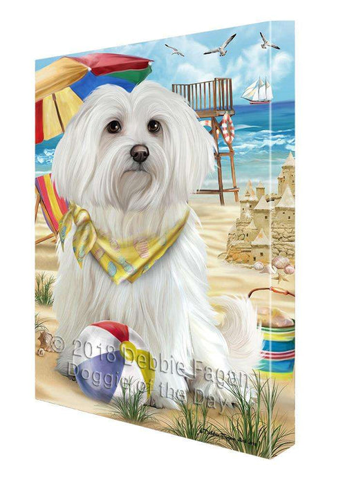 Pet Friendly Beach Maltese Dog Canvas Wall Art CVS66265