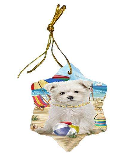 Pet Friendly Beach Maltese Dog Star Porcelain Ornament SPOR50045