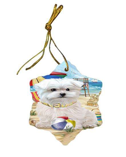 Pet Friendly Beach Maltese Dog Star Porcelain Ornament SPOR50046