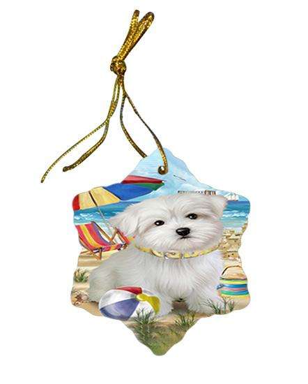 Pet Friendly Beach Maltese Dog Star Porcelain Ornament SPOR50047