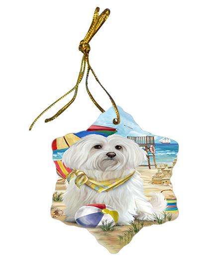 Pet Friendly Beach Maltese Dog Star Porcelain Ornament SPOR50049