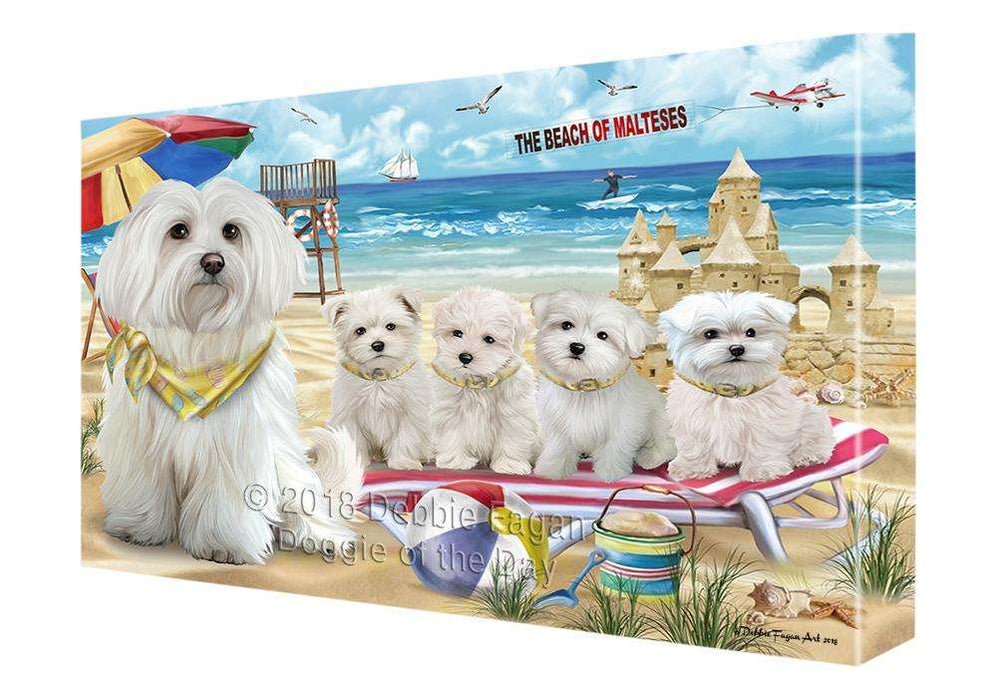 Pet Friendly Beach Malteses Dog Canvas Wall Art CVS66220