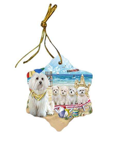 Pet Friendly Beach Malteses Dog Star Porcelain Ornament SPOR50044