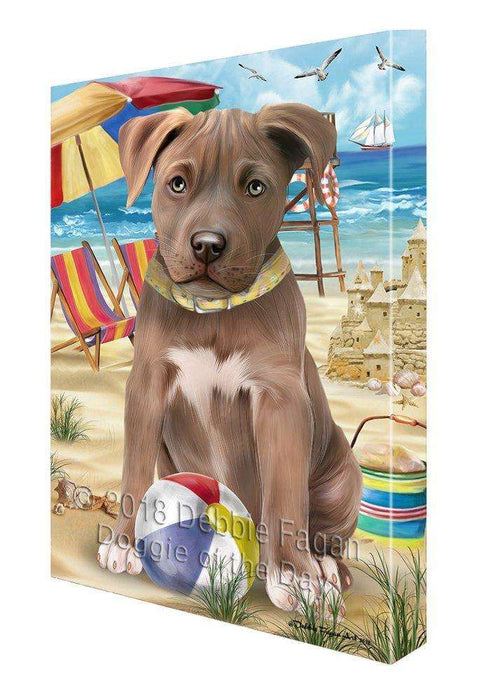 Pet Friendly Beach Pit Bull Dog Canvas Wall Art CVS53022