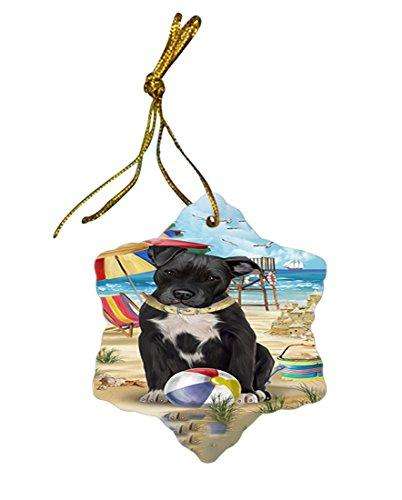 Pet Friendly Beach Pit Bull Dog Star Porcelain Ornament SPOR48654