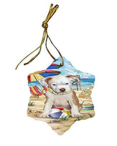 Pet Friendly Beach Pit Bull Dog Star Porcelain Ornament SPOR48655