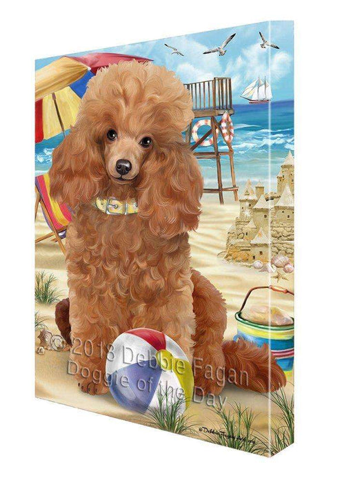 Pet Friendly Beach Poodle Dog Canvas Wall Art CVS53076