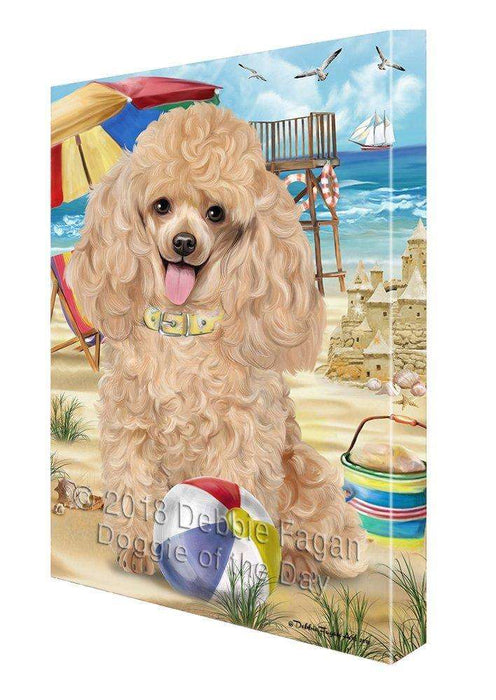 Pet Friendly Beach Poodle Dog Canvas Wall Art CVS53085