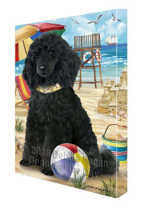 Pet Friendly Beach Poodle Dog Canvas Wall Art CVS53094