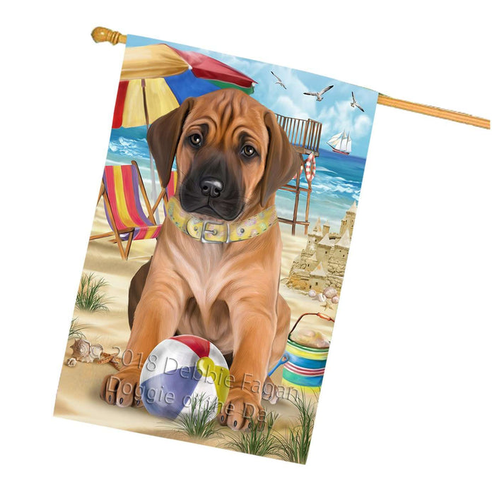 Pet Friendly Beach Rhodesian Ridgeback Dog House Flag FLG48638