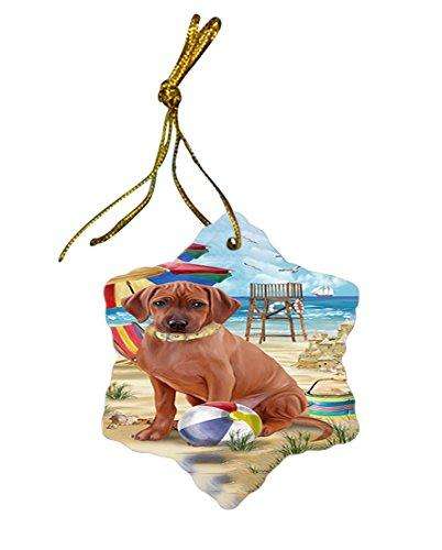 Pet Friendly Beach Rhodesian Ridgeback Dog Star Porcelain Ornament SPOR48664