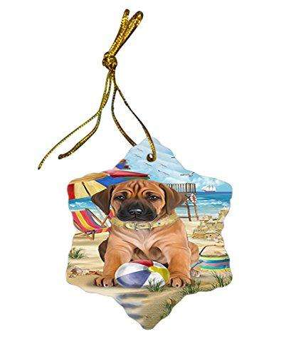 Pet Friendly Beach Rhodesian Ridgeback Dog Star Porcelain Ornament SPOR48665