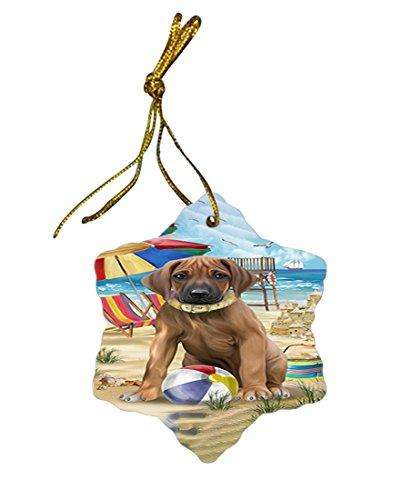 Pet Friendly Beach Rhodesian Ridgeback Dog Star Porcelain Ornament SPOR48666