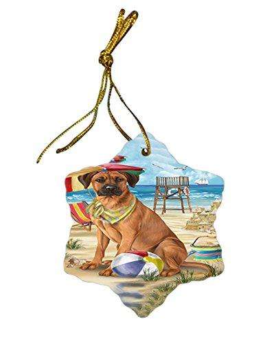 Pet Friendly Beach Rhodesian Ridgeback Dog Star Porcelain Ornament SPOR48668