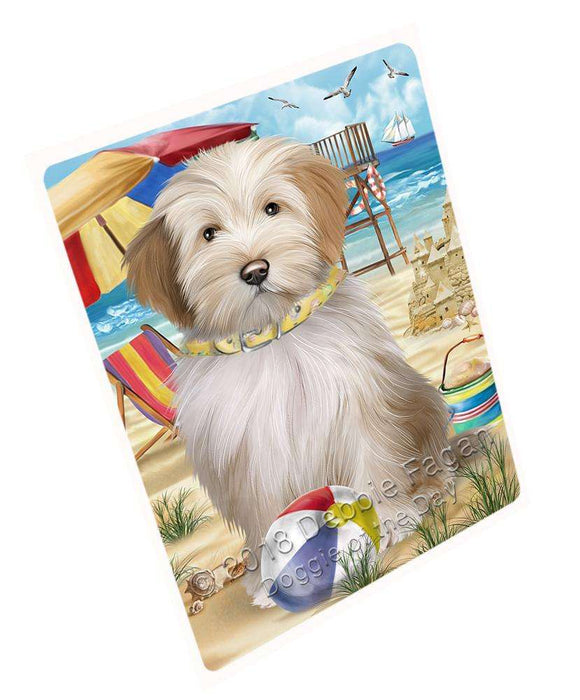 Pet Friendly Beach Tibetan Terrier Dog Magnet Mini (3.5" x 2") MAG49800