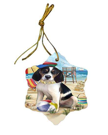 Pet Friendly Beach Treeing Walker Coonhound Dog Star Porcelain Ornament SPOR50093