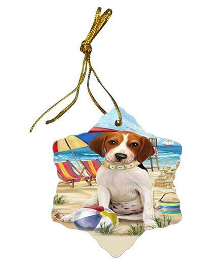 Pet Friendly Beach Treeing Walker Coonhound Dog Star Porcelain Ornament SPOR50094