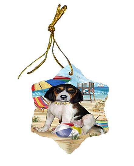 Pet Friendly Beach Treeing Walker Coonhound Dog Star Porcelain Ornament SPOR50095