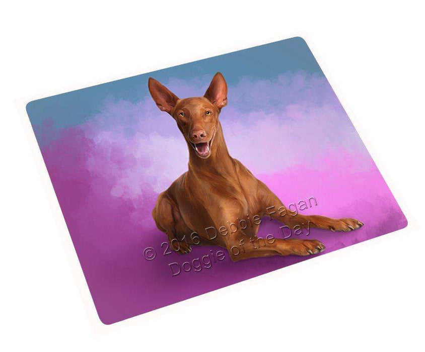 Pharaoh Dog Blanket BLNKT48243