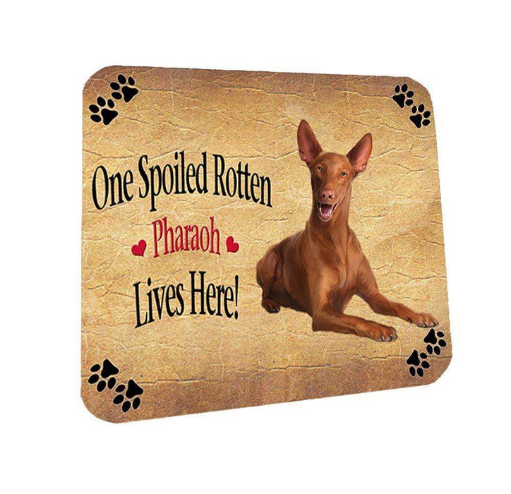 Pharaoh Spoiled Rotten Dog Coasters Set of 4